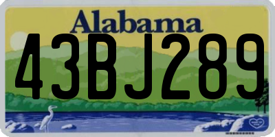 AL license plate 43BJ289