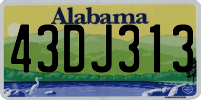 AL license plate 43DJ313