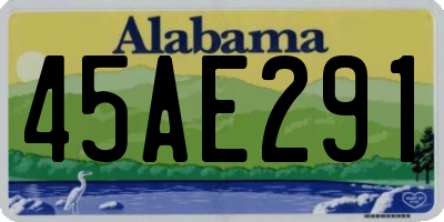 AL license plate 45AE291