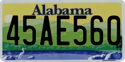 AL license plate 45AE560