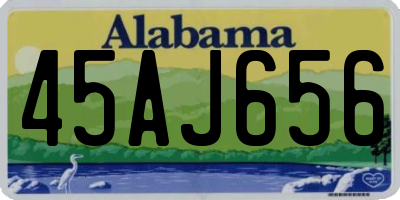 AL license plate 45AJ656