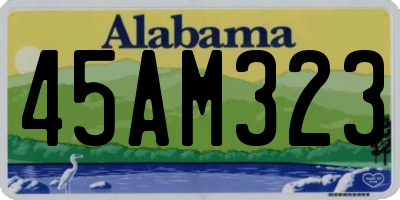 AL license plate 45AM323