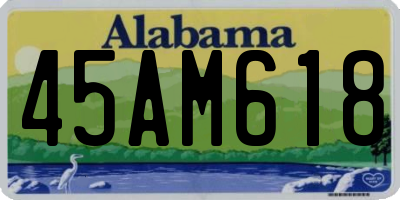 AL license plate 45AM618