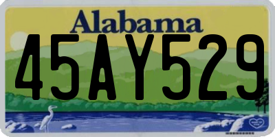 AL license plate 45AY529