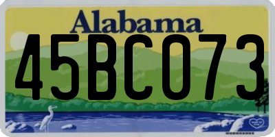 AL license plate 45BC073