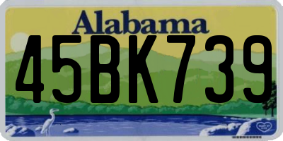 AL license plate 45BK739