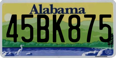 AL license plate 45BK875