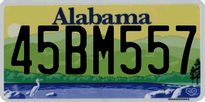 AL license plate 45BM557