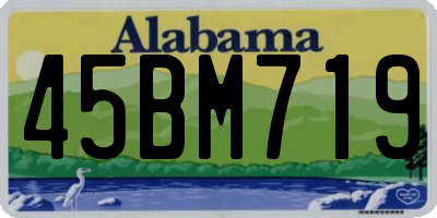 AL license plate 45BM719
