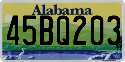 AL license plate 45BQ203