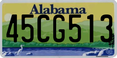 AL license plate 45CG513