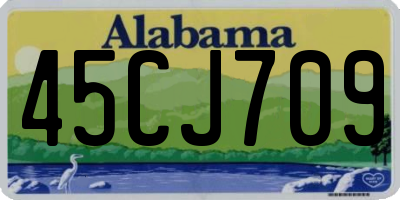 AL license plate 45CJ709