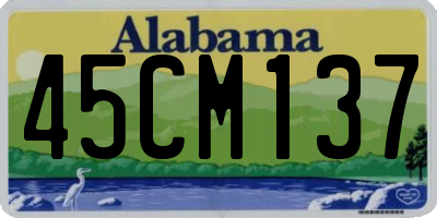 AL license plate 45CM137