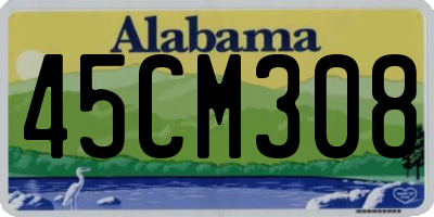 AL license plate 45CM308