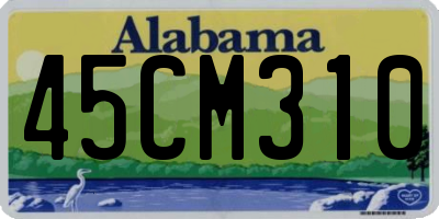 AL license plate 45CM310