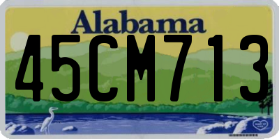 AL license plate 45CM713