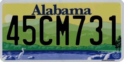 AL license plate 45CM731