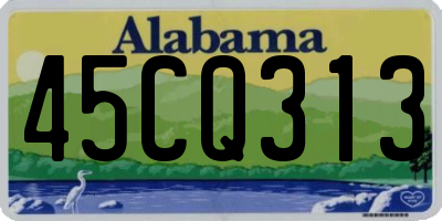 AL license plate 45CQ313
