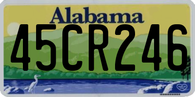 AL license plate 45CR246