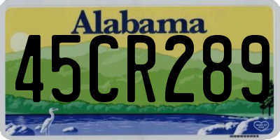 AL license plate 45CR289