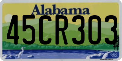 AL license plate 45CR303