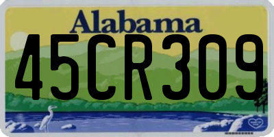 AL license plate 45CR309