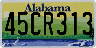 AL license plate 45CR313