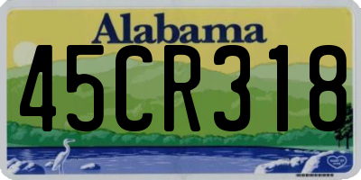 AL license plate 45CR318