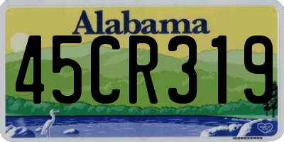 AL license plate 45CR319