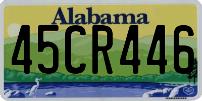 AL license plate 45CR446