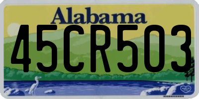 AL license plate 45CR503