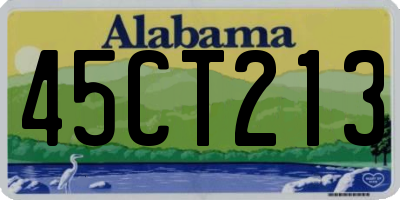 AL license plate 45CT213