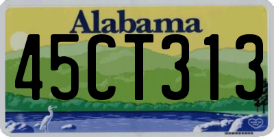 AL license plate 45CT313