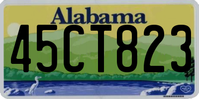 AL license plate 45CT823