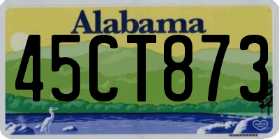 AL license plate 45CT873
