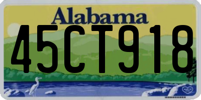 AL license plate 45CT918