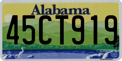AL license plate 45CT919