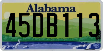 AL license plate 45DB113