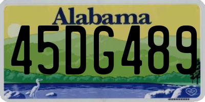 AL license plate 45DG489