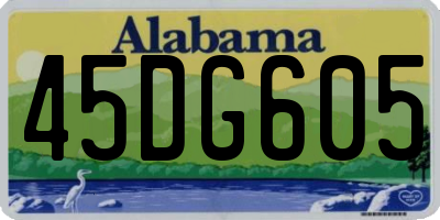 AL license plate 45DG605
