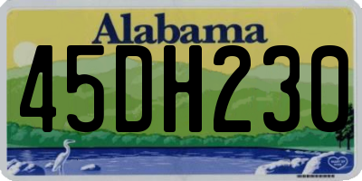 AL license plate 45DH230