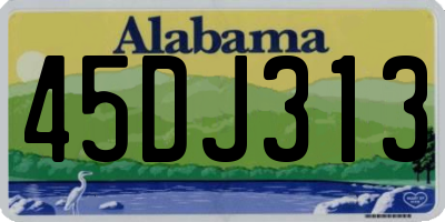 AL license plate 45DJ313