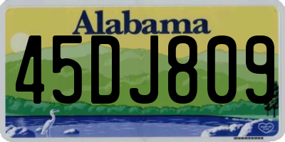 AL license plate 45DJ809