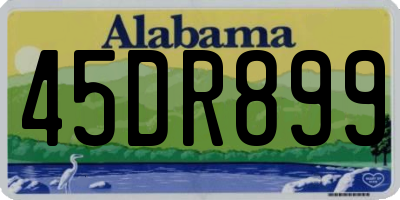 AL license plate 45DR899