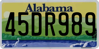 AL license plate 45DR989