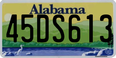 AL license plate 45DS613