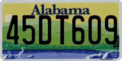 AL license plate 45DT609