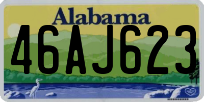 AL license plate 46AJ623