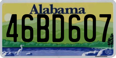 AL license plate 46BD607