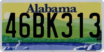 AL license plate 46BK313